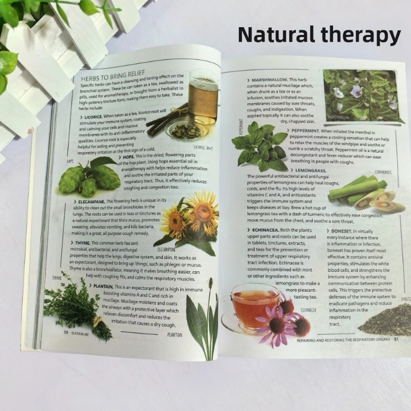Sustain Me Barbara O'Neill Doğ - Health Wellness Lifestyle incelemesi ve fiyatı