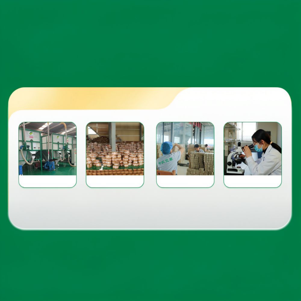Duman Çıkarmayan Karbonize Mox - Therapy Health And Wellness incelemesi ve fiyatı