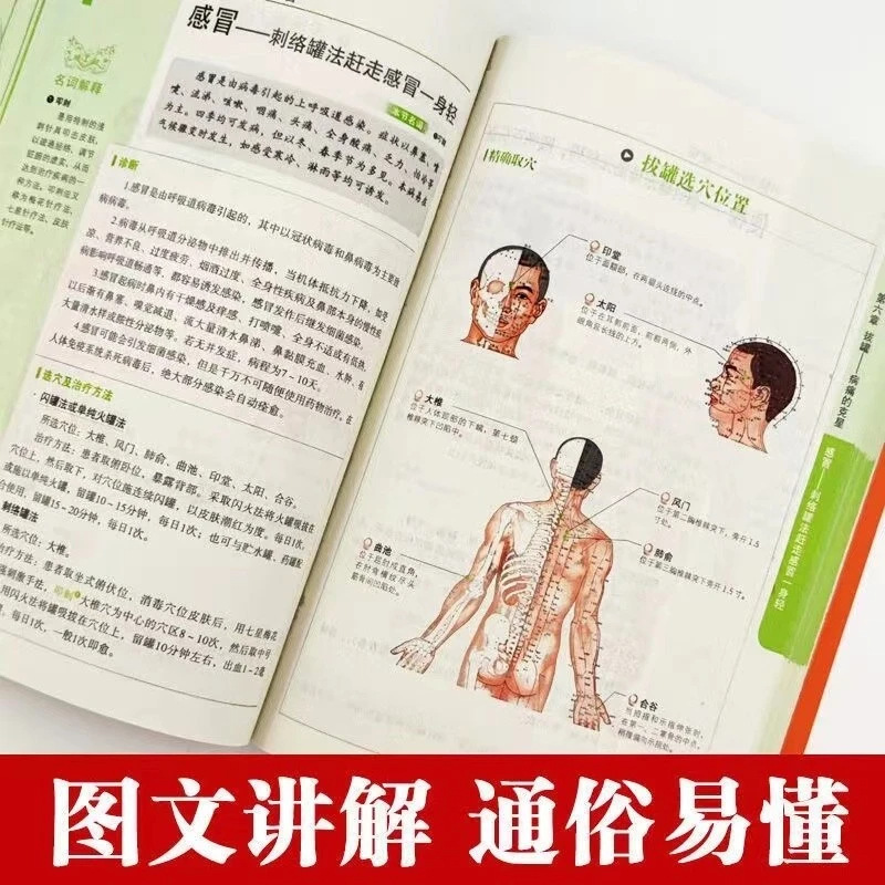 Bütünsel Sağlık ve Esenlik Ser - Therapy Health And Wellness incelemesi ve fiyatı